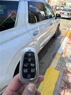 هیۆندای پالیسەید